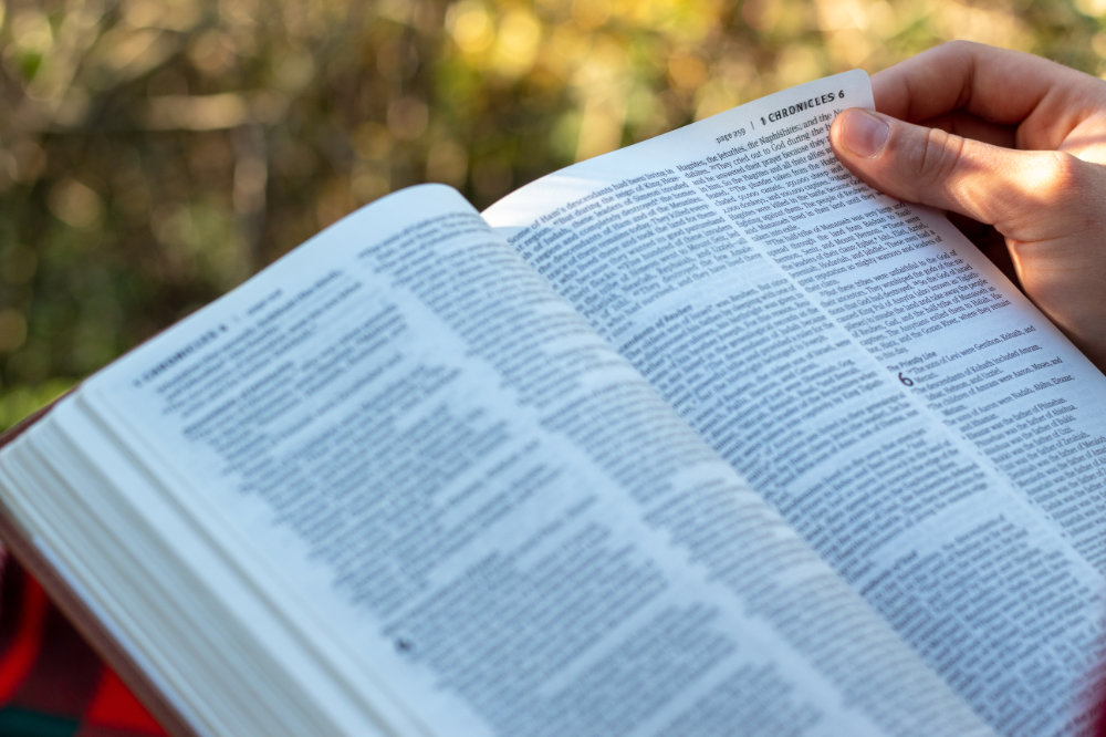 ywam-discipleship-bible-school-dbs-learn-about-the-bible