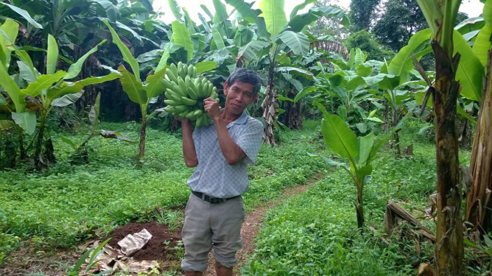 mercy-ministries-missions-training-trip-ywam-new-zealand