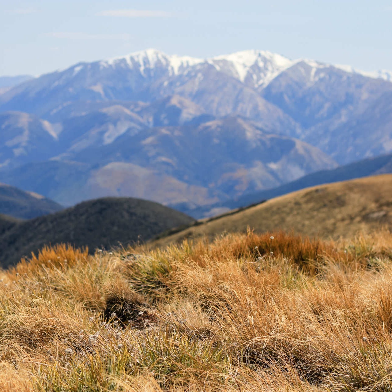 ywam-new-zealand-second-level-schools-adventure