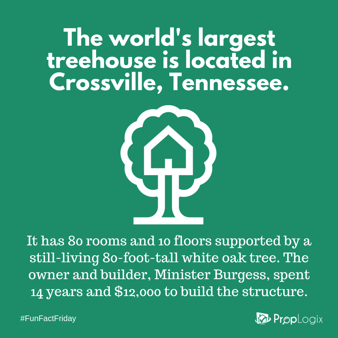 Fun Fact Friday - largest treehouse in the world