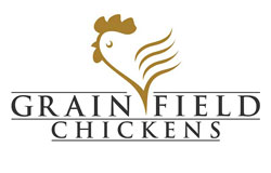 Grain Field Chickens