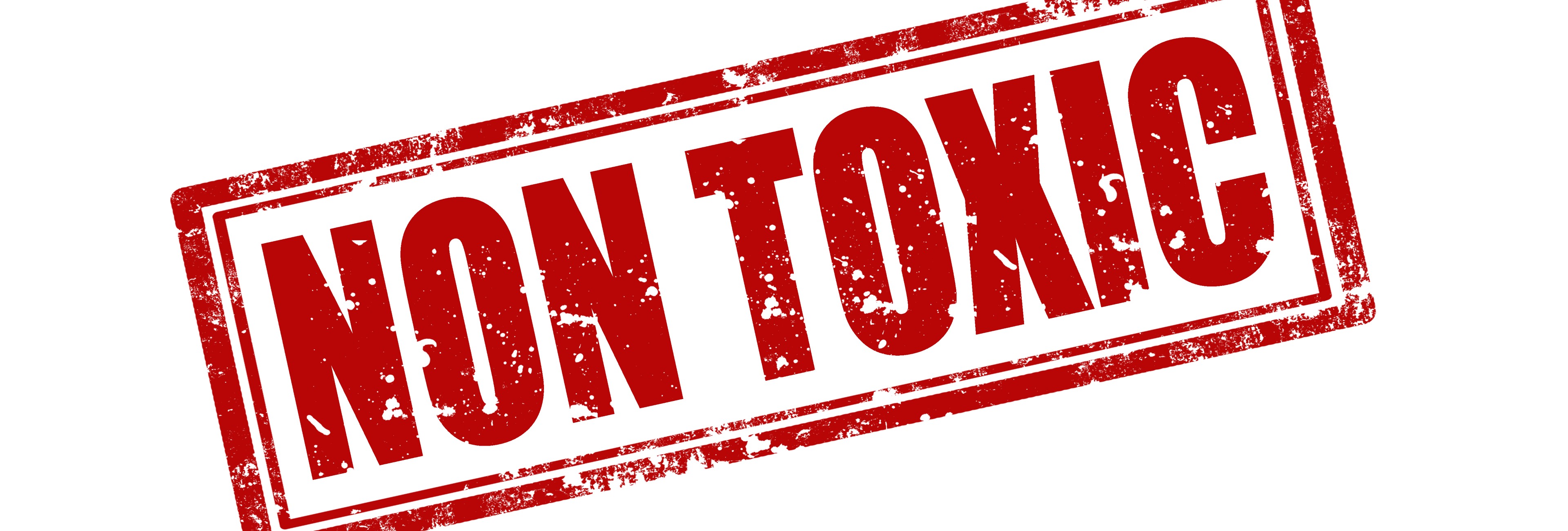 non-toxic-headerimage-3840x1100