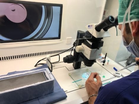 embryology laboratory Generates in Rome