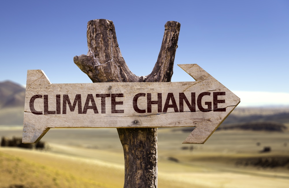 Climate Change wooden sign with a desert background.jpeg