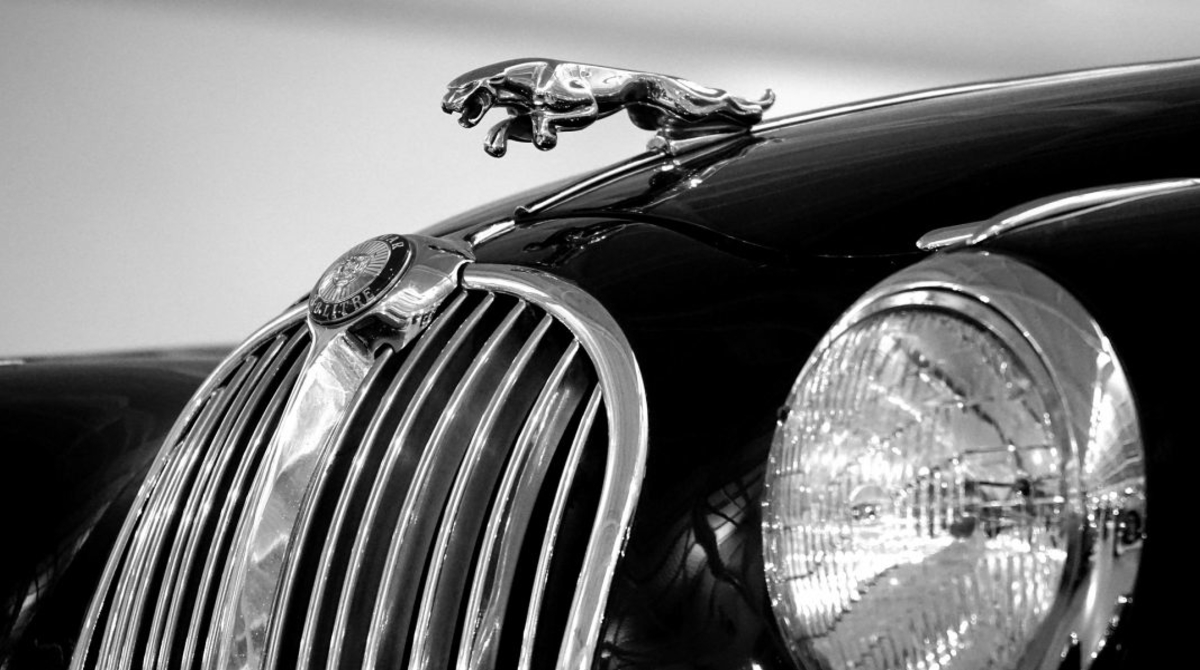 Construction Starts on Luxury Auto Dealership in Brampton