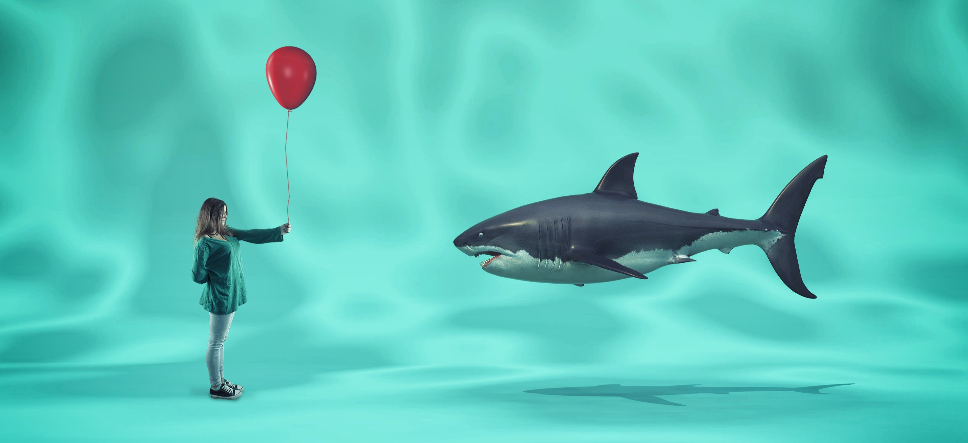 Gift Ideas for Shark Lovers