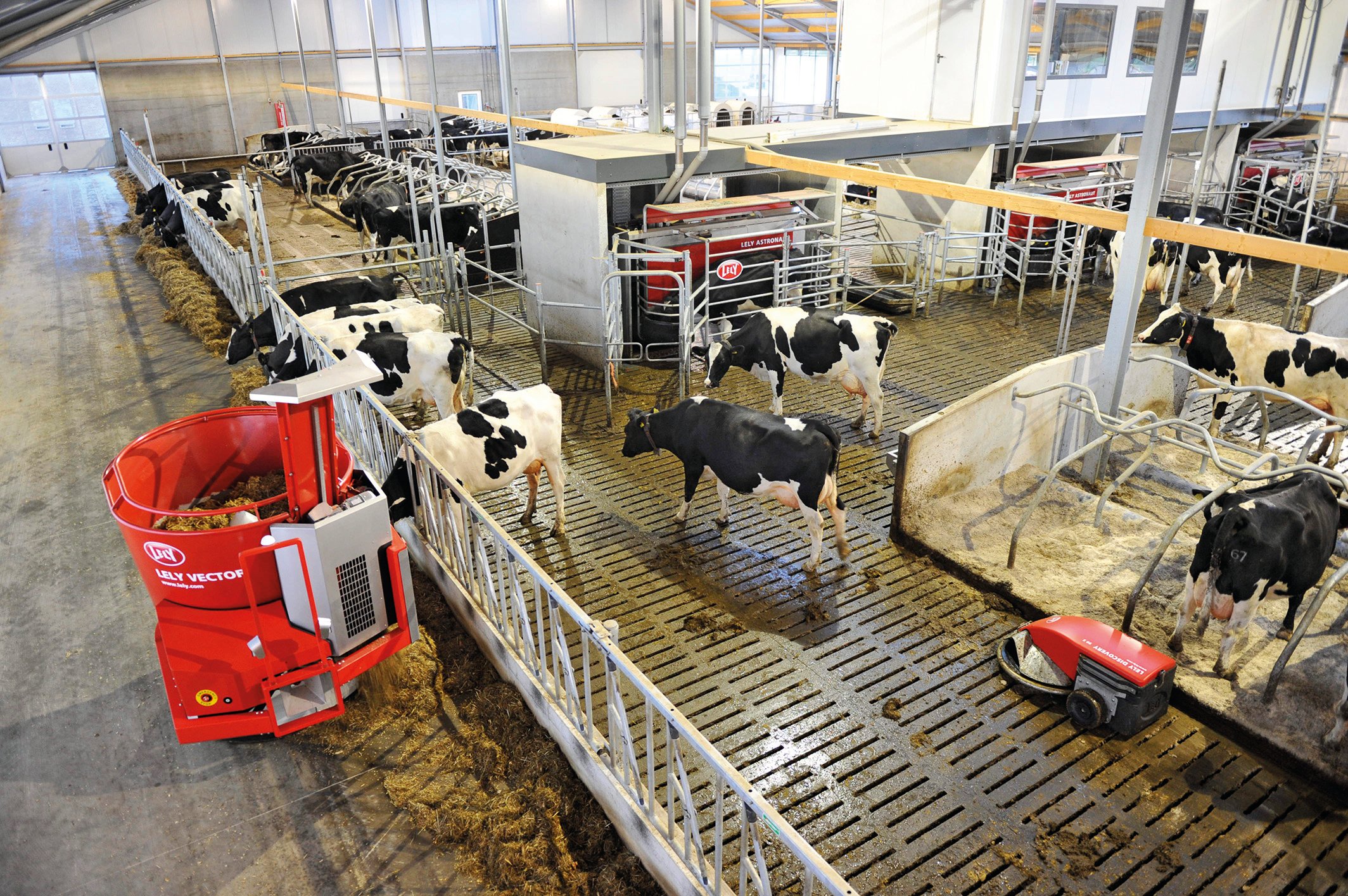 Consider efficient barn designs for success with robotic milking systems