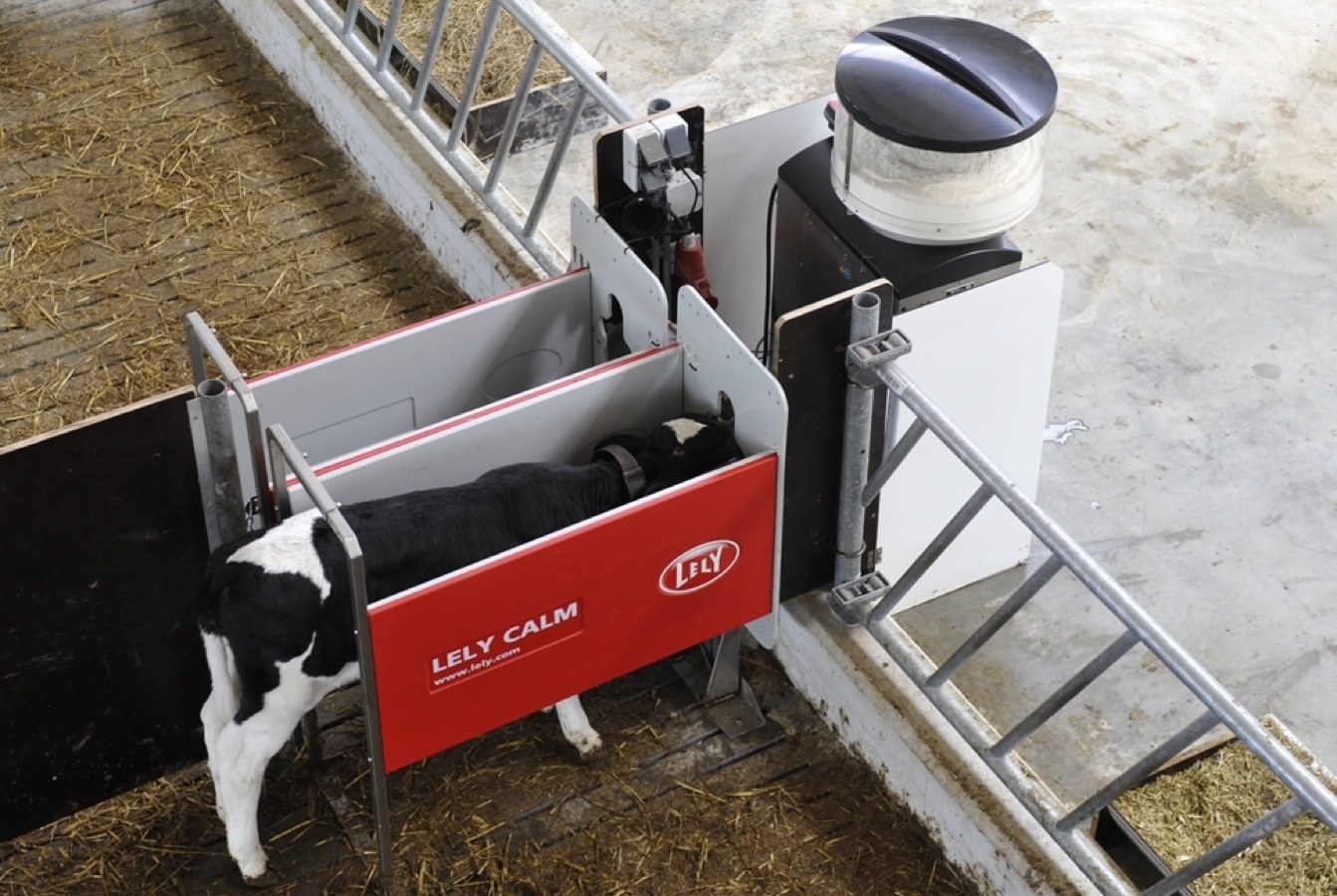 Top 9 Reasons Water Quality Matters for Dairy Cows from Dairy Herd