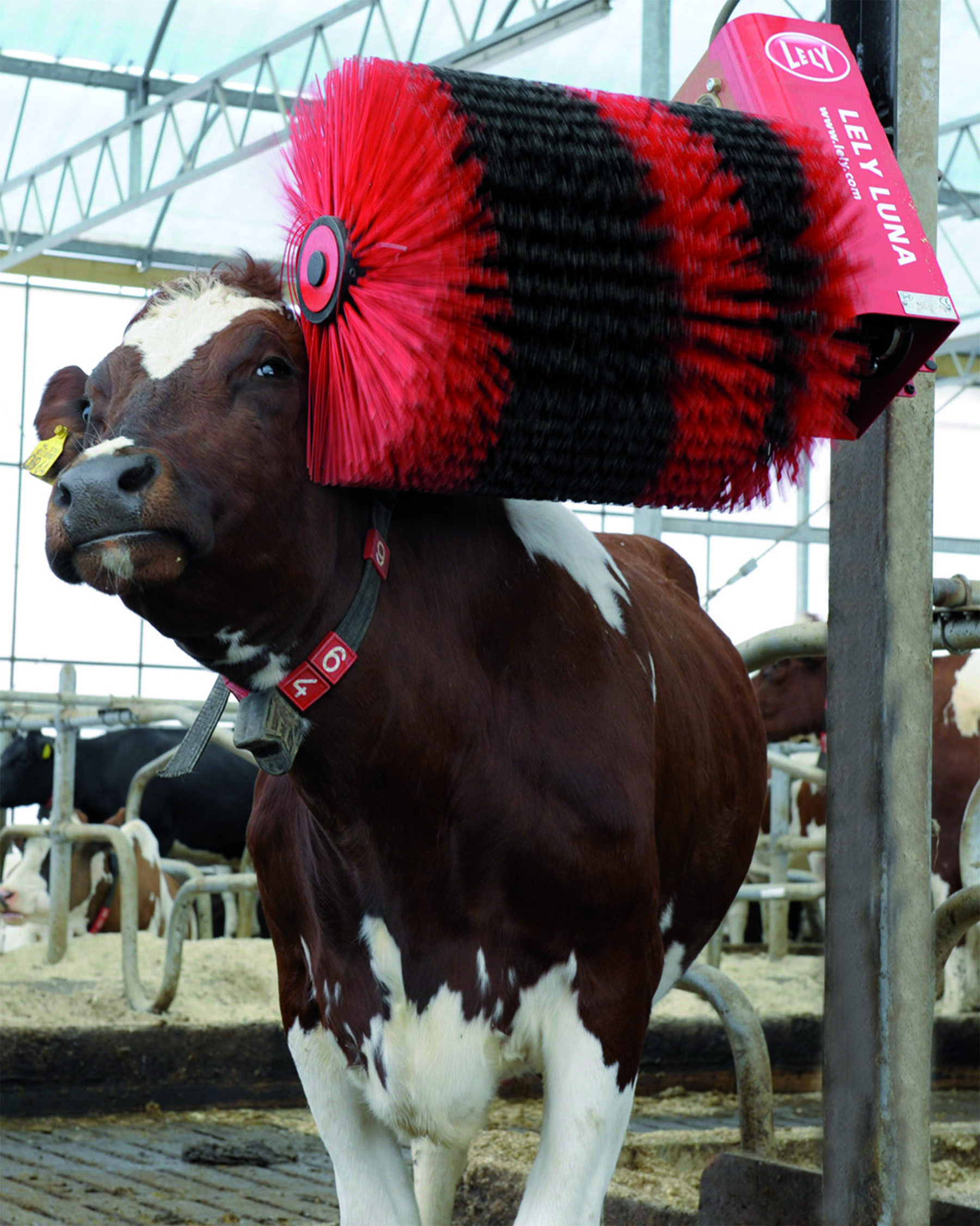 Lely Luna Cow Brush provides optimum comfort and hygiene for cows
