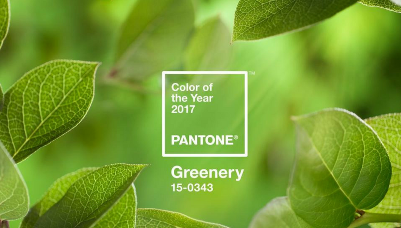 Pantone Color of the Year | BBJ Linen