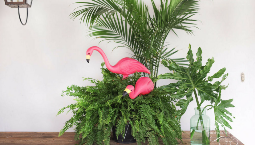 Flamingo Wedding Decor | BBJ Linen