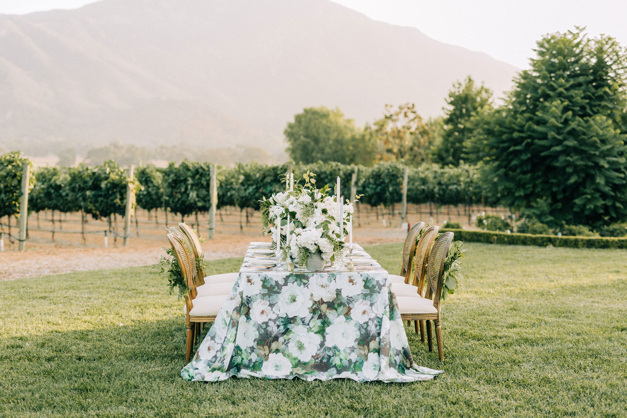 Vineyard Wedding Table