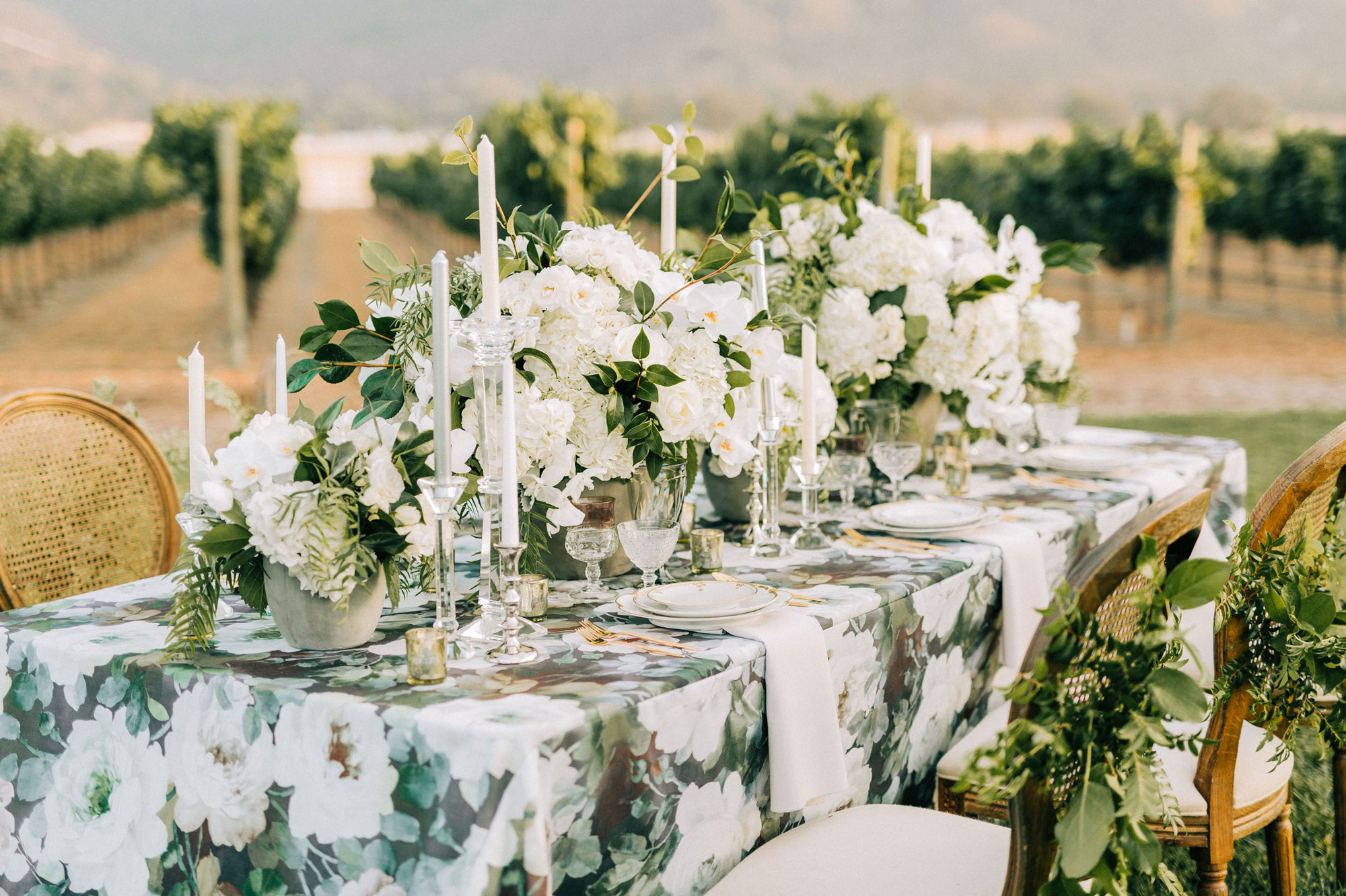 Epona Estate Vineyard Wedding