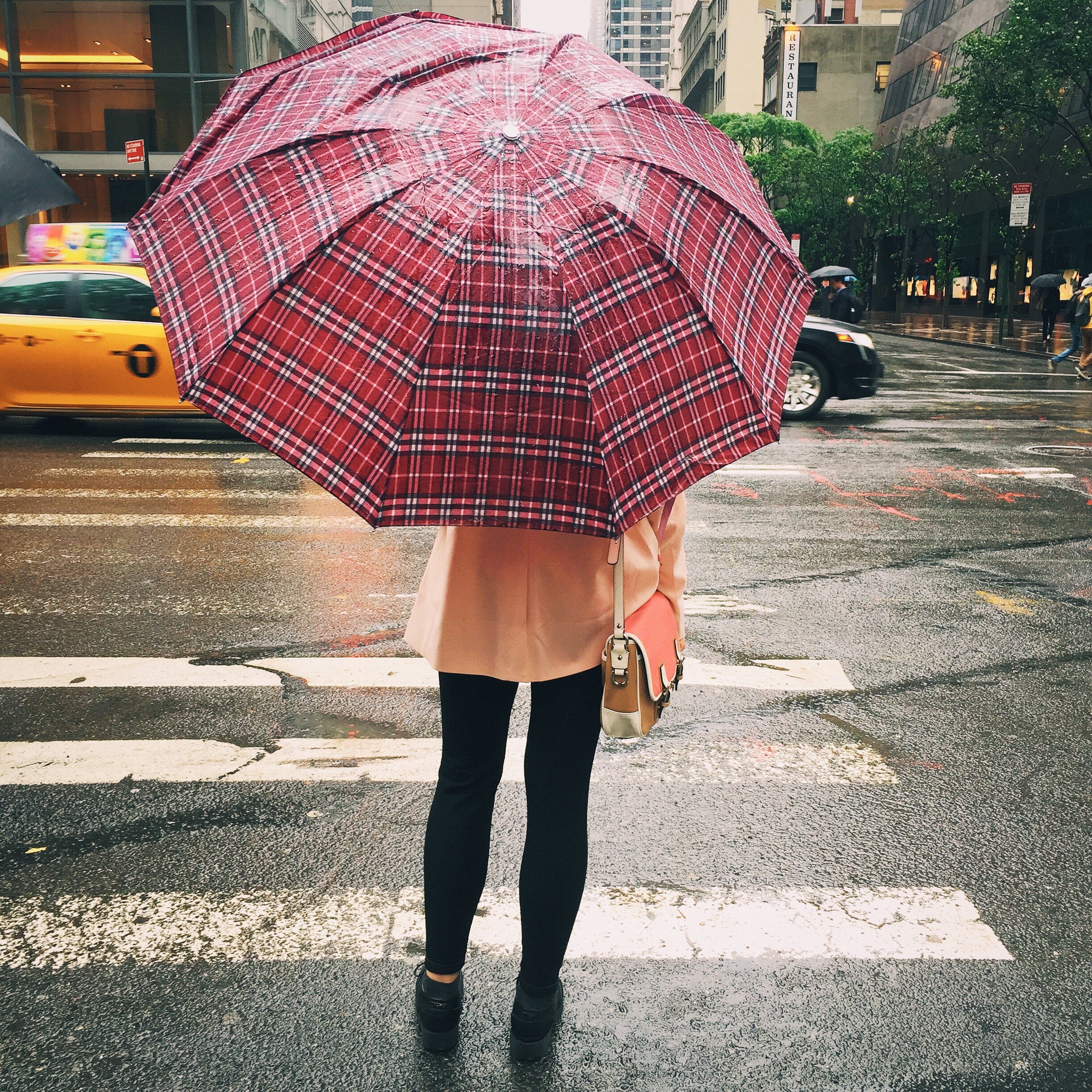 rainyday-crosswalk.jpg