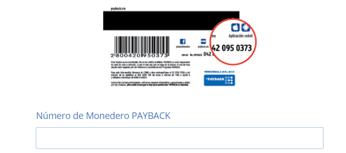 registro-payback-puntos