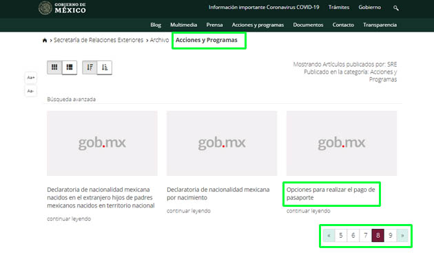 pago-de-pasaporte-formato-3