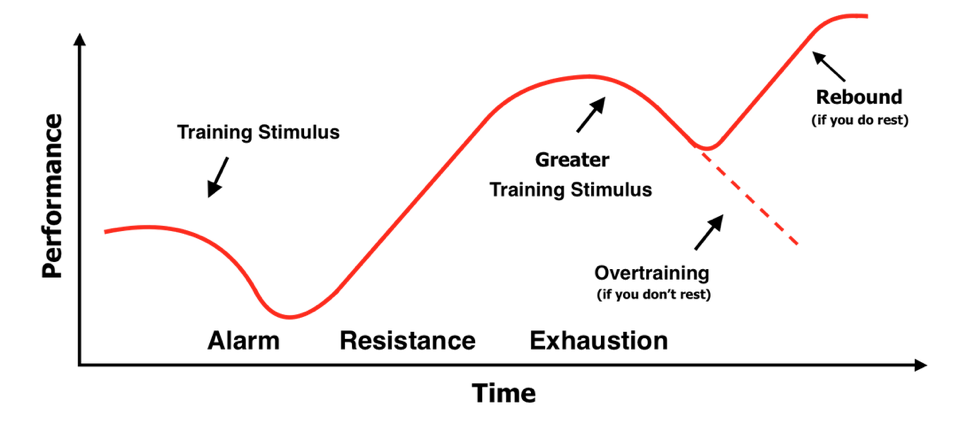 General Adaptation Syndrome