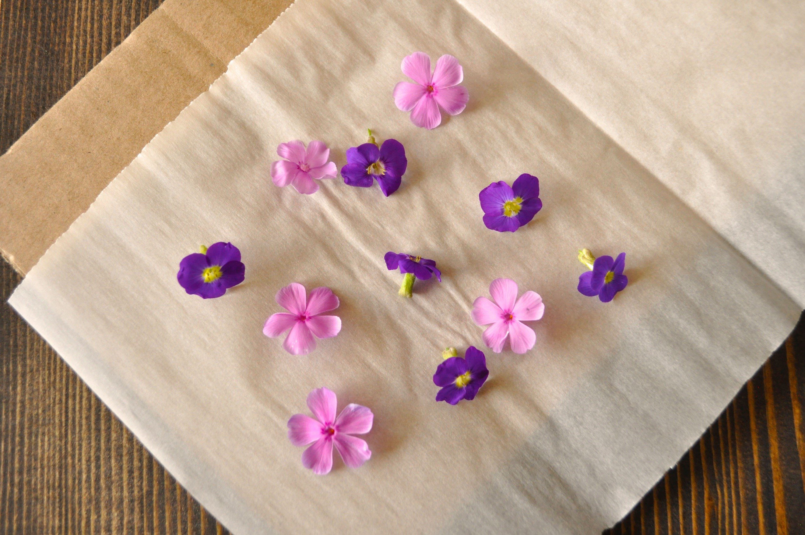 3 Pressed Flower Candle