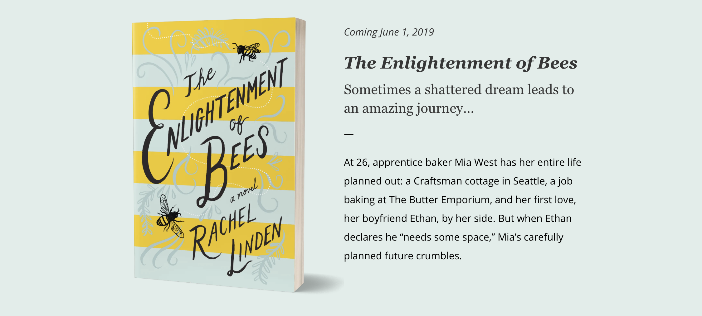 Enlightenment of Bees Promo