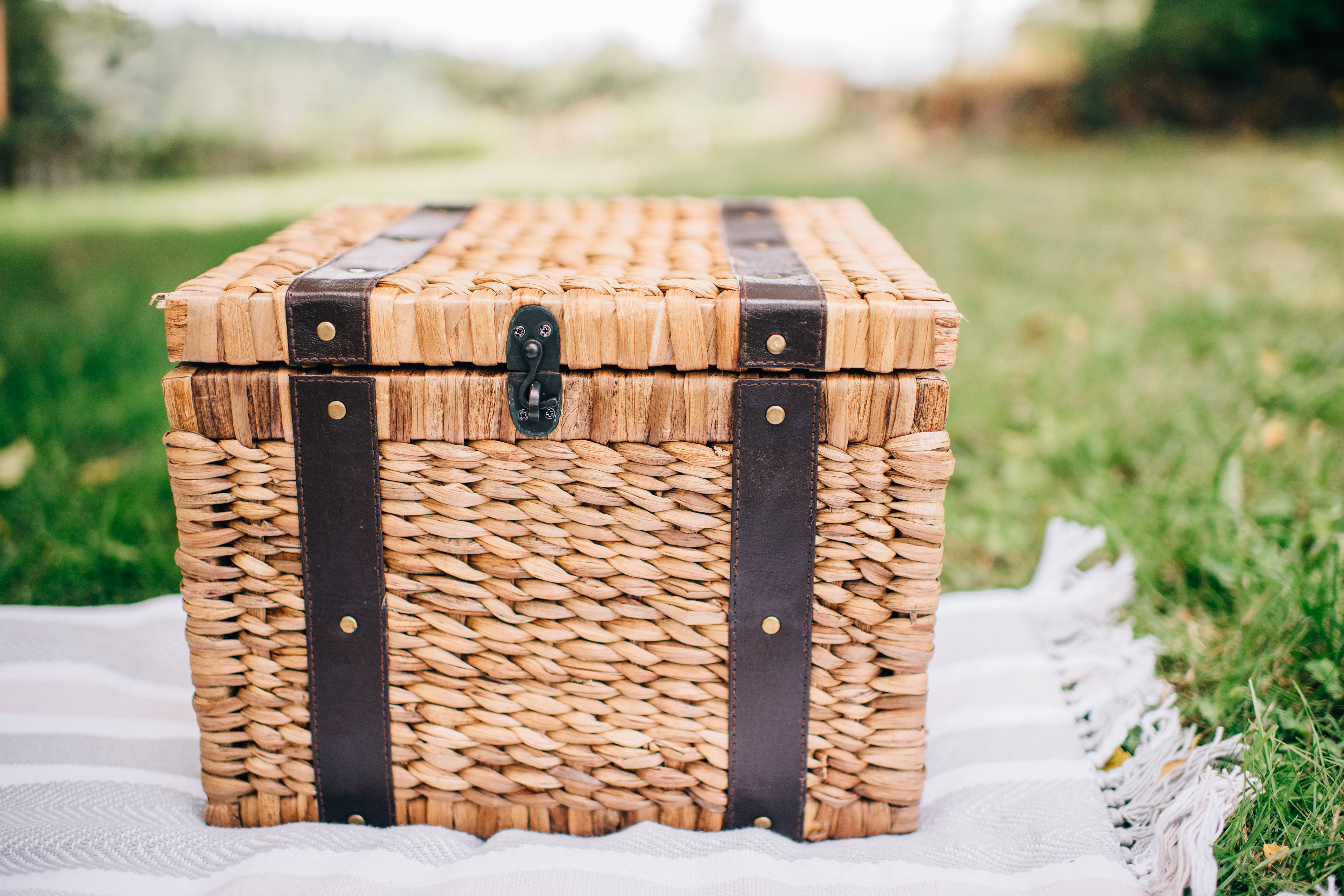 Creating the Perfect Picnic // Classic + Fancy Picnic Guides - Ann Le Do