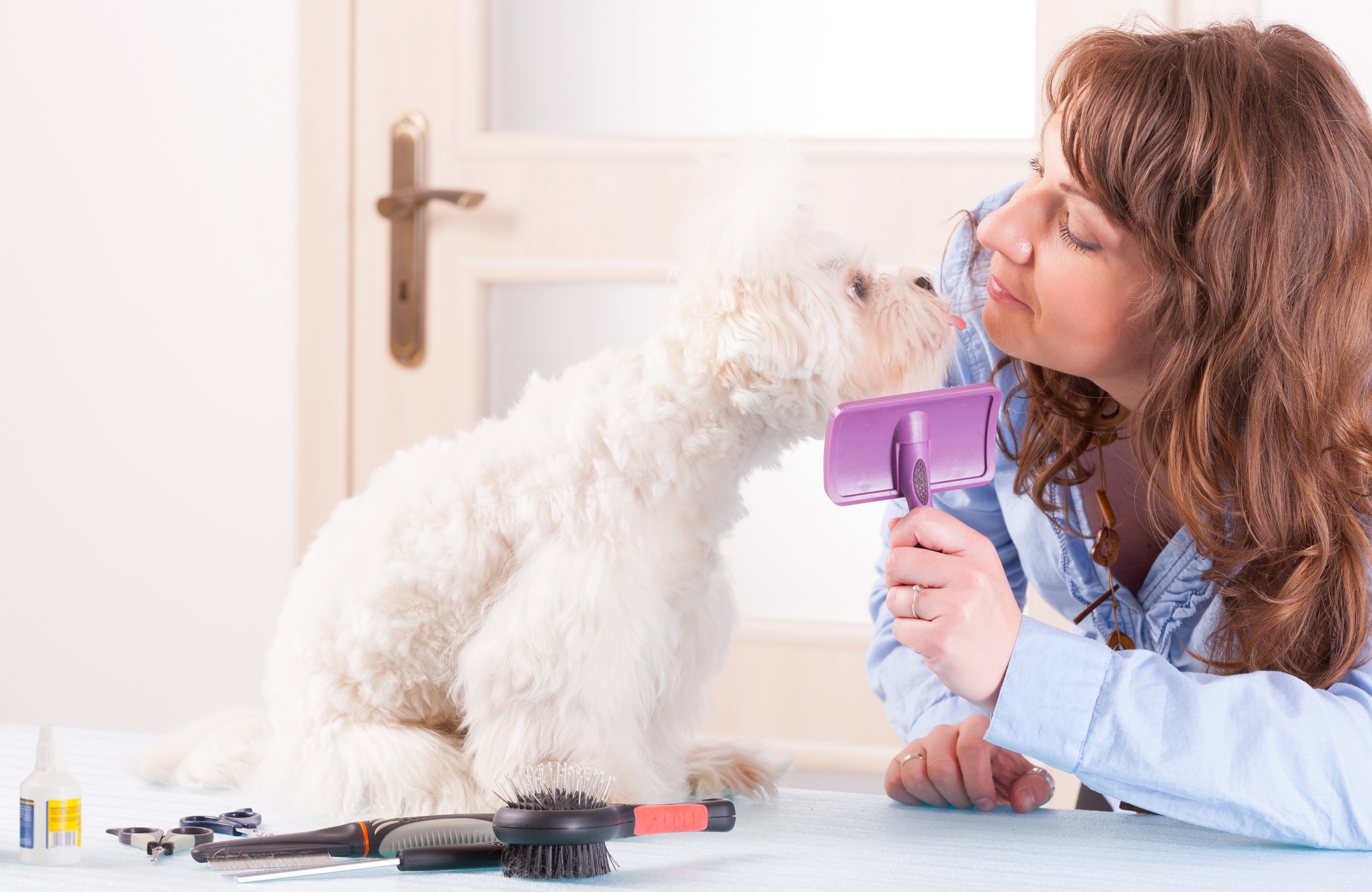 Low-Stress Handling — What Groomers Should Know About This Hot Niche