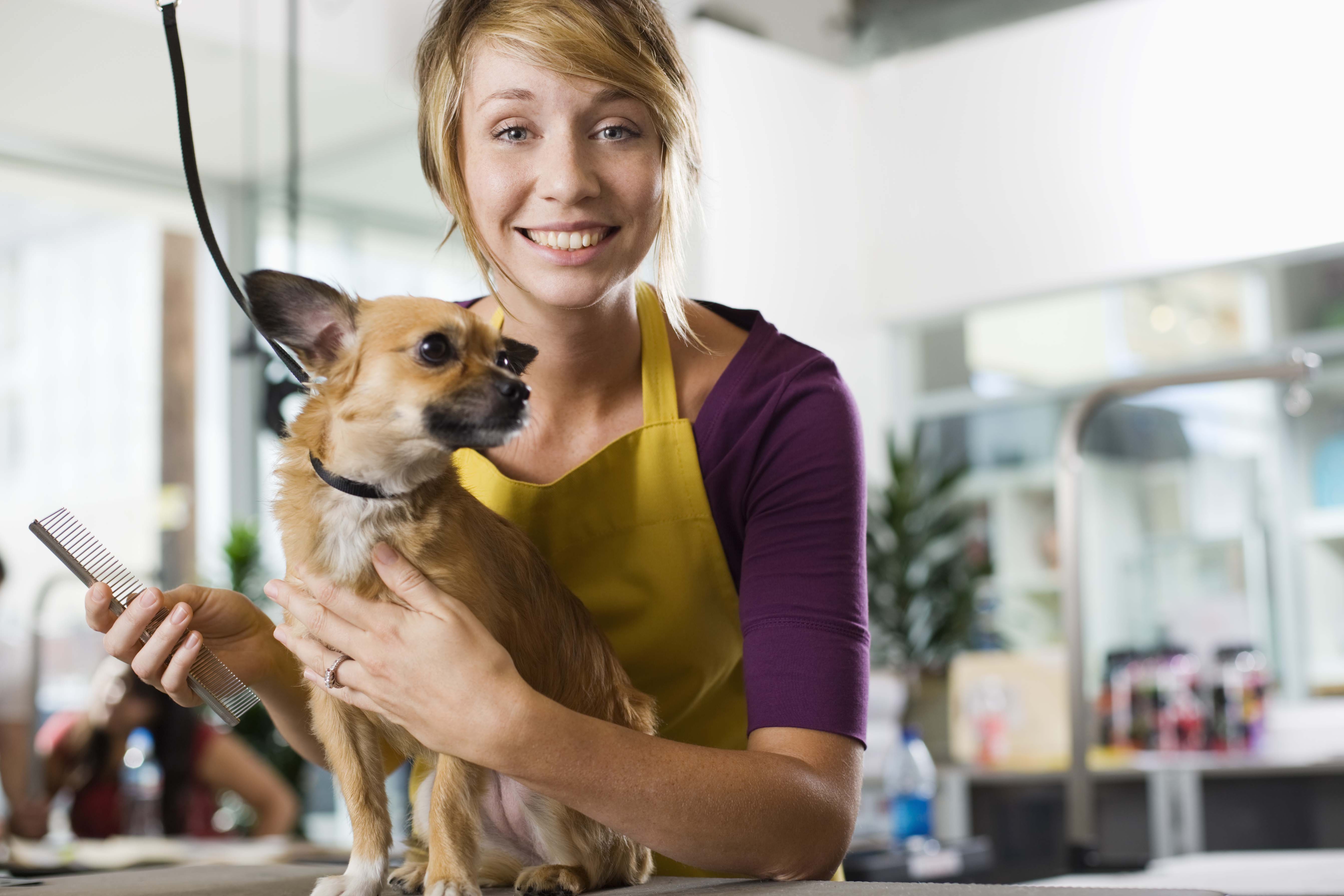 Groomer with a dog