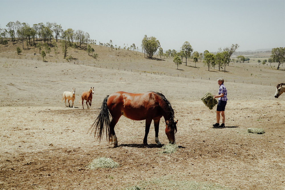 Jaclyn Feeding Horses