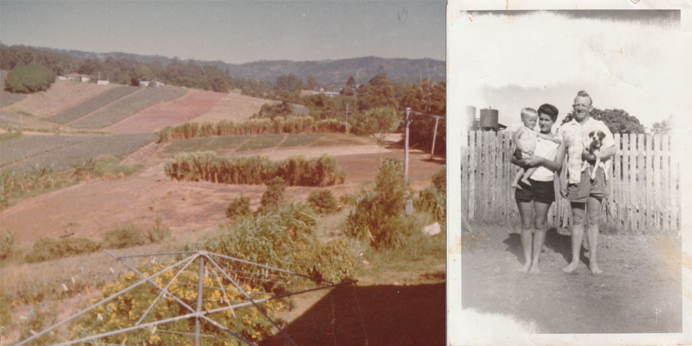 Views of the Farm and the Walkers