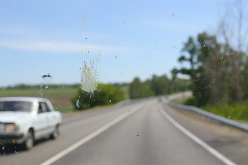 bug-splattered-windshield