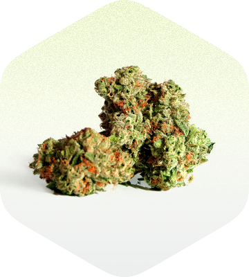 Cannabis Flower Waterville Maine