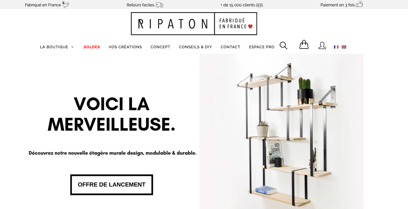 Page d'accueil du site Ripaton