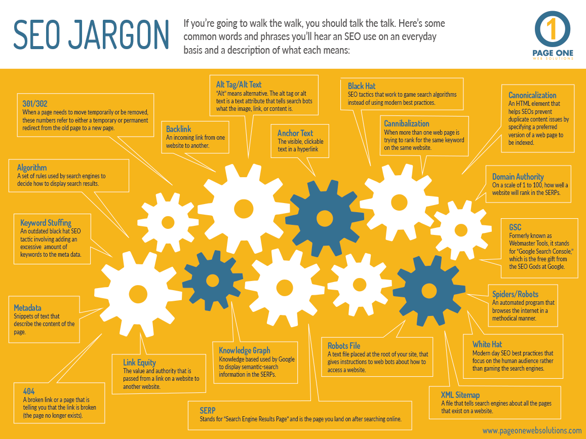 Seo Terms And Jargon What Exactly Does It Mean Infographic