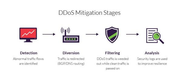 DDoS Protection - Denial of Service Mitigation