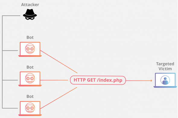 web security basics