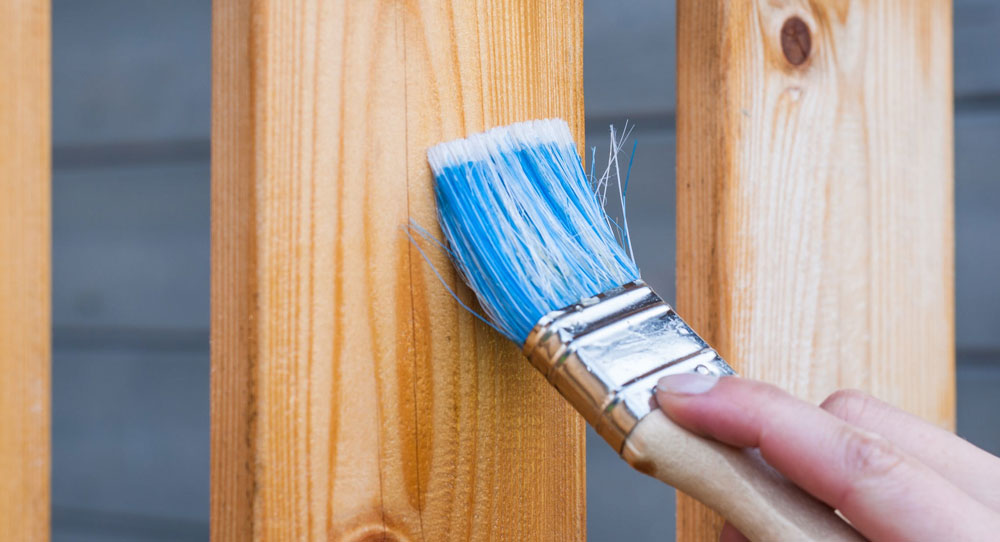 Martin Luther King, Jr. Day of Service