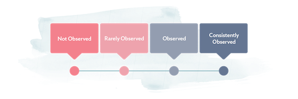 Observed performance review scale