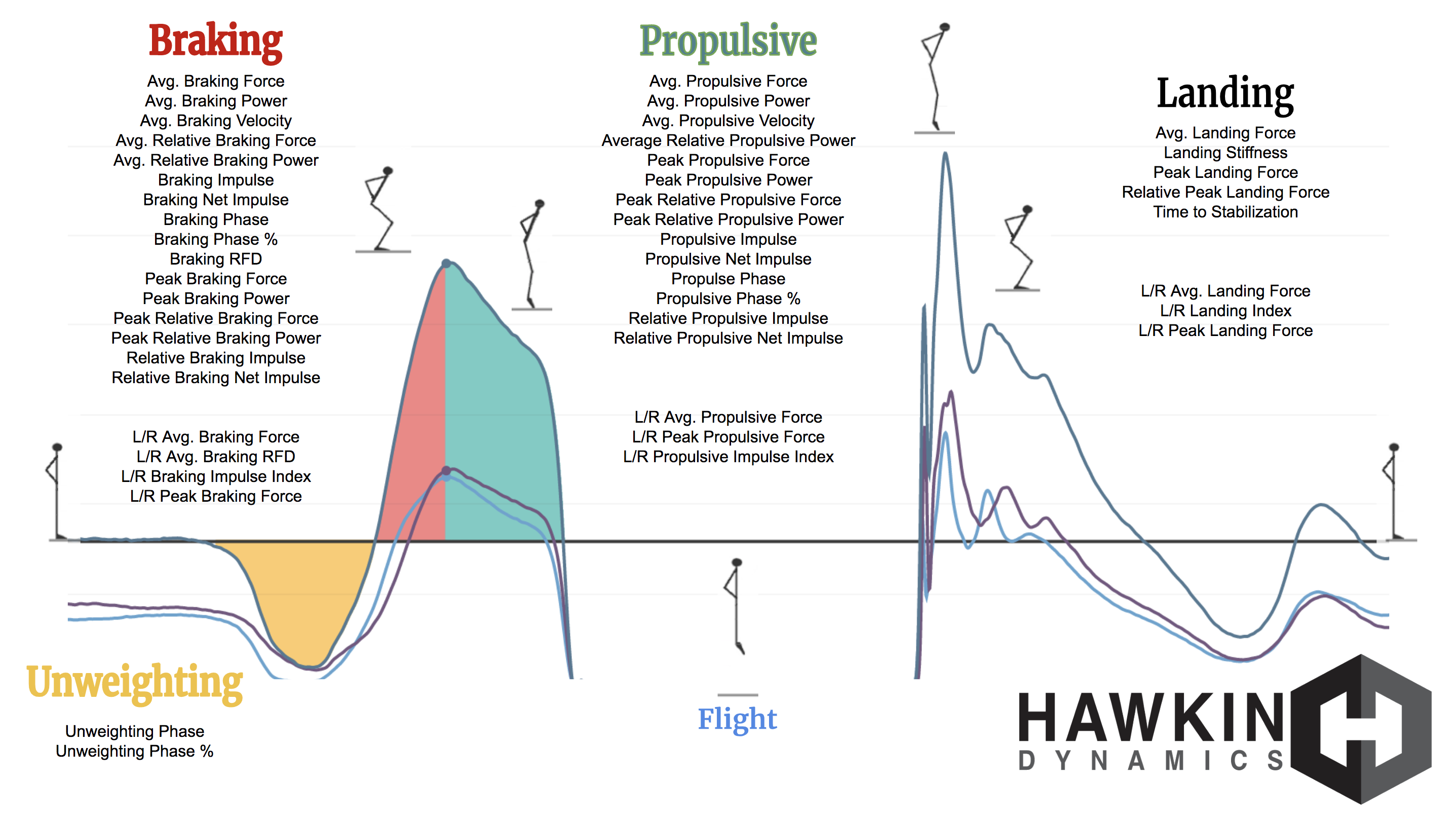 PDF) Relationship between jump height and rate of braking force