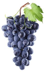 uvas moradas