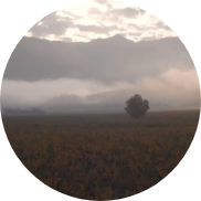 Neblina