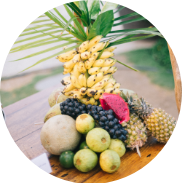 Tropical-1