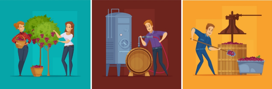process de elaboración de vinos orgánicos
