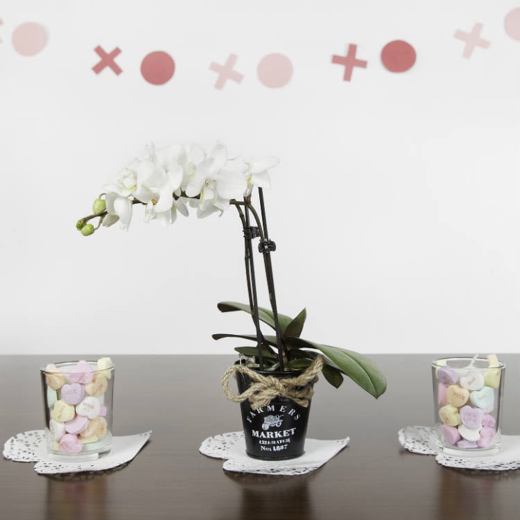 Send a Bunch of Blue 6 Orchid Jute Bouquet Flower Online, Price Rs.795 |  FlowerAura