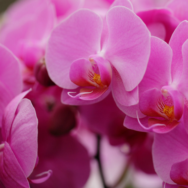 last minute sweetest day gifts for him