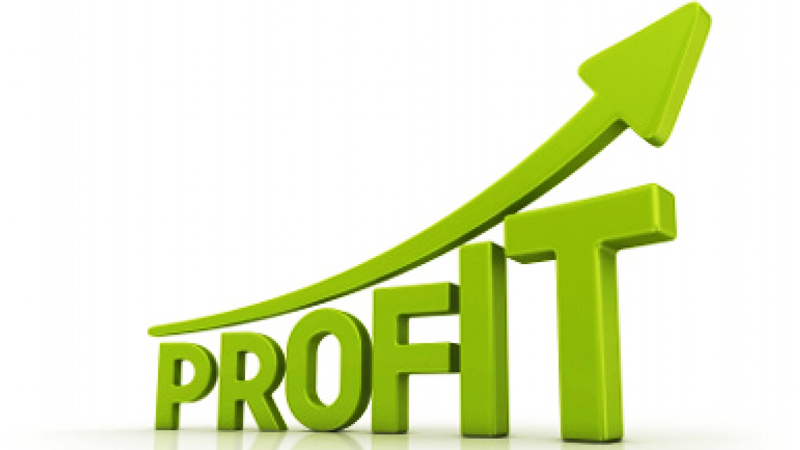 Profit