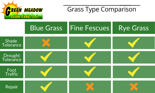 grass seed blend chart sun shade traffic comparison
