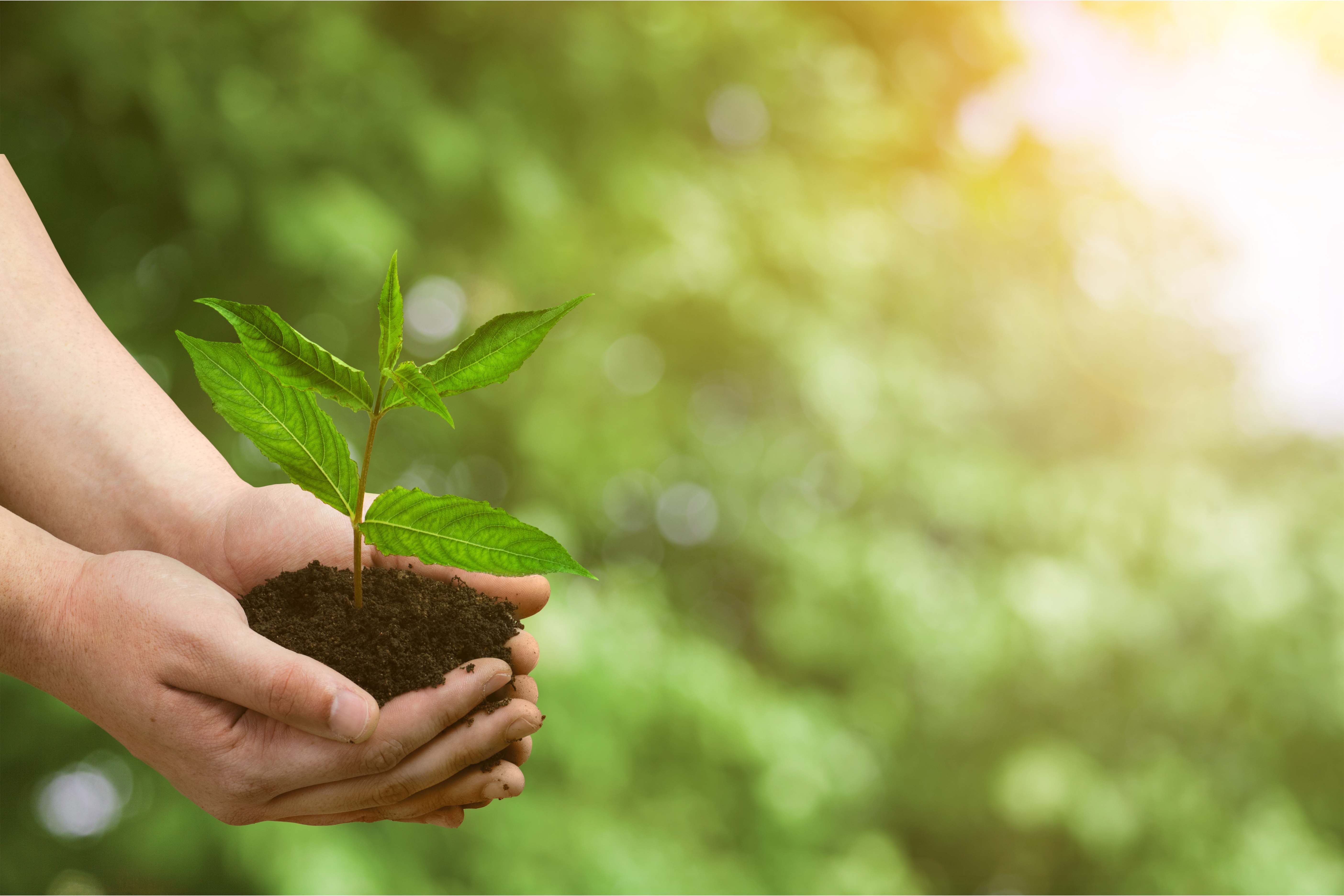 Environmental well being. Защита окружающей среды. Защита окружающей среды Эстетика. Жизнь в стиле эко. Всемирный день окружающей среды.