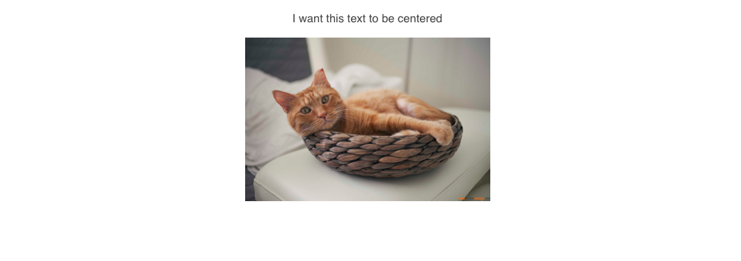 Centered_TextImage.png