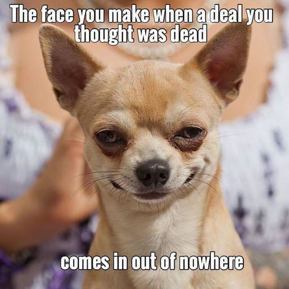 Deal comes in_Chiuaua