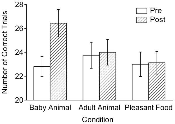 baby-animals-productivity.png