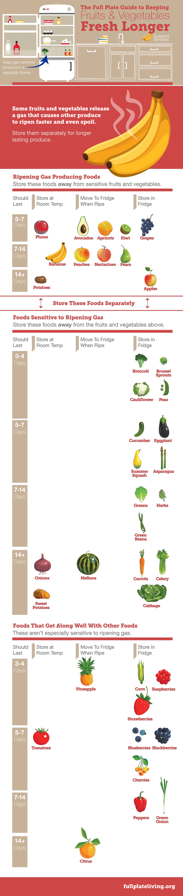 storing-food-infographic.png